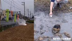 彰化電線被吹斷火燒田，民眾煮雞蛋／彰化踢爆網授權提供