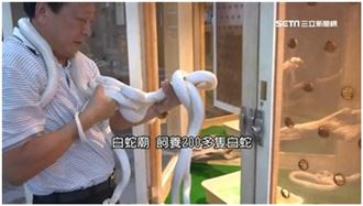 白娘娘使出鎮殿五寶　疑難雜症都解決