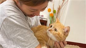 寵物抓傷,眼睛受傷,貓