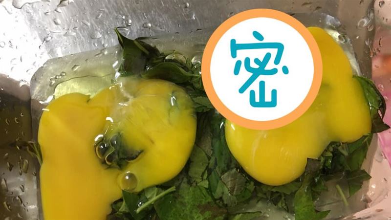 蛋白驚見「白色異物」內行喊很新鮮