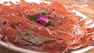 大啖萬里蟹！新北鱻蟹宴席開80桌