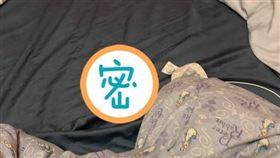 貓的報恩,老鼠,禮物,床,叼