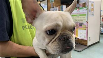 法鬥誰的？公路亂竄險釀禍：手機空號