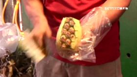 (獨)難剝果神人1800