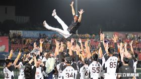 ▲統一獅球員拋起代理總教練林岳平。（圖／記者劉彥池攝影）