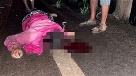 樹枝,頭部,意外,老婦,若蟲,老翁