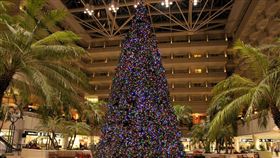 名家專用／草根影響力新視野（勿用）