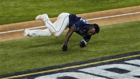 Arozarena前滾翻。（圖／美聯社／達志影像）