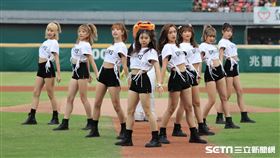 ▲統一獅啦啦隊Uni-girls賽前表演。（圖／記者劉彥池攝影）