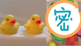 艾登建議家長將會積水的洗澡玩具全部丟掉。（圖／翻攝自pixabay）