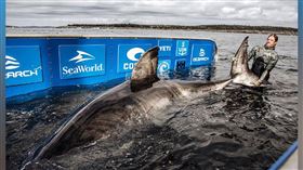 名家專用／草根影響力新視野（勿用）