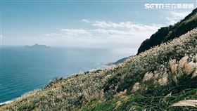 不能出國就去東北角！草嶺古道芒花季將開跑　漫步雪花白中（圖／福容大飯店提供）