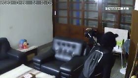 文 賊闖宅偷車1600