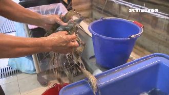 釣蝦場爆衝突！醉男揮拳持酒瓶砸人