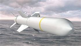 波音（Boeing）製造的AGM-84H/K SLAM-ER空對地飛彈。（圖／翻攝自波音網站）
