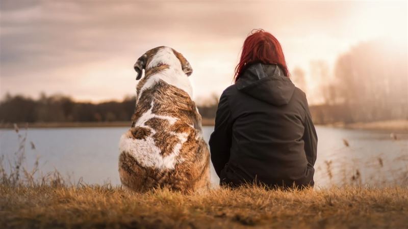 35歲女目睹愛犬溺斃　PTSD纏身