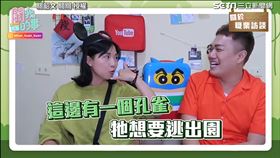 ▲賴珮如曾於大學時期到，佛羅里達州的華特迪士尼世界度假區打工。（圖／關韶文 關關 授權）