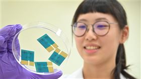 新冠肺炎,清大,聯合國,永續,晶片篩檢