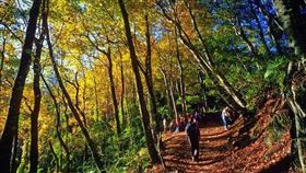 （圖／Tripbaa趣吧！達人帶路）