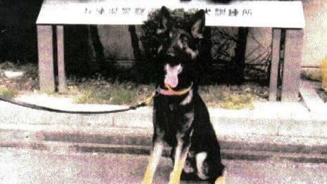 警犬搜救任務脫逃　警出動35人圍捕