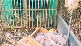 養狗環境宛如垃圾堆　嘉義飼主遭罰3000元嘉義縣家畜疾病防治所今年6月接獲民眾通報，於竹崎鄉灣橋村某農地上有3隻狗長期遭不當飼養，住在垃圾堆中，家畜所派員稽查屬實，經6次複查髒亂情況都未改善，依違反動保法開罰新台幣3000元，飼主才改善犬隻居住環境。（嘉義縣政府提供）中央社記者蔡智明傳真　109年10月27日