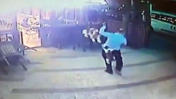 貓媽咪跳上人背上要咬狗　貓在想什麼