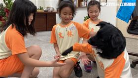 校狗,生命教育
圖/文林國小提供