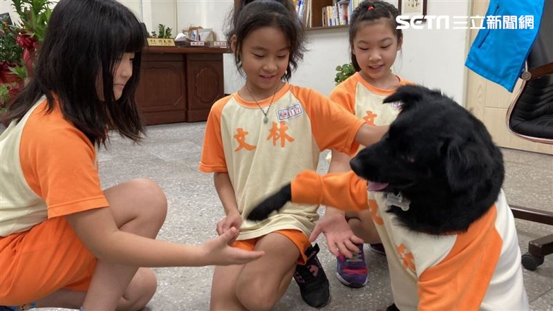 送走3次自己回來⋯牠成國小最萌學員