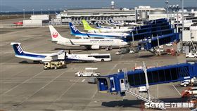 飛機／機場（讀者提供）