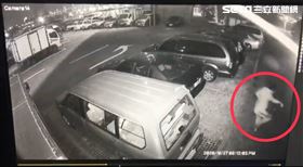 台北,萬滑,環河南路,BMW,拒檢,溺斃,保安大隊 翻攝畫面