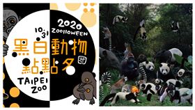 黑白動物點點名 (圖／臺北市立動物園提供)