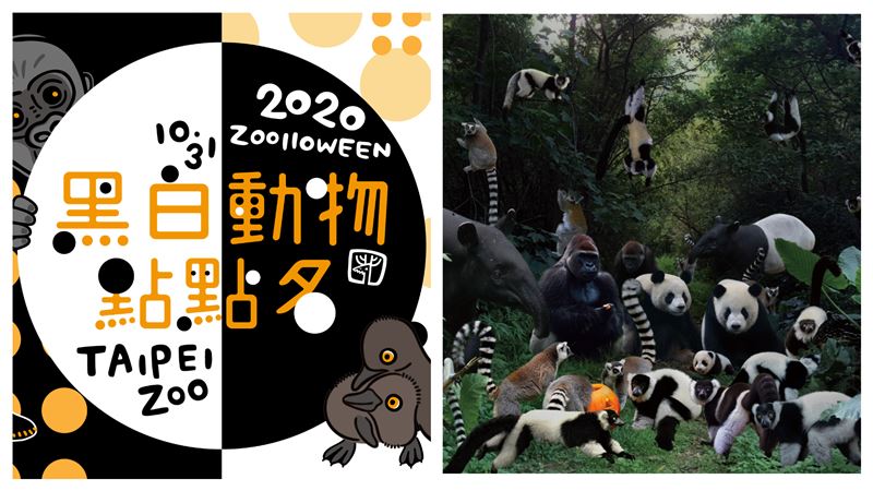 北市動物園106歲！歡慶黑白萬聖節