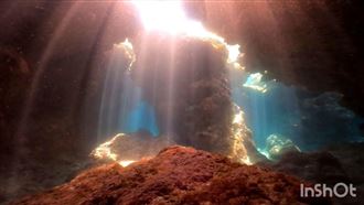 綠島秘境／潛進洞穴中　如仙境的深海