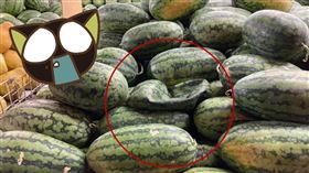 驚見西瓜「消風乾扁照！」水果行揭密：臭到靠Ｘ。（圖／翻攝自新‧路上觀察學院）