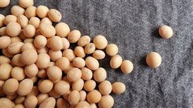 名家專用／草根影響力新視野（勿用）