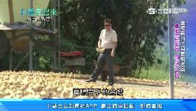 (業配)侯新北耶誕1111318.