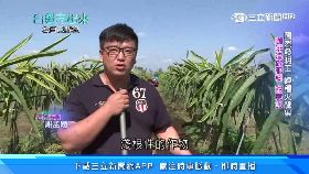 打球潑酒精2400.