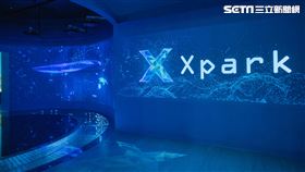 台北國泰萬怡酒店和COZZI Blu和逸飯店．桃園館，聯手推「CC聯盟三天兩夜」住房專案

