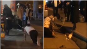 特殊癖好？女當街「調教男友」他戴狗鍊趴地…羞恥畫面曝光（圖／翻攝自微博）