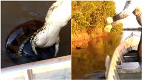 巴西,鱷魚,漁夫,巨蟒,水蟒,蛇,釣魚（圖／翻攝自臉書Pantanal Pesca
 