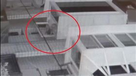 新北市,淡水,毀損,廢棄物清理法,排泄物,