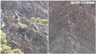 男徒手走斷崖　山友傻眼：以為是山羊