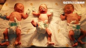 高雄,懷孕,生產,3胞胎,性別