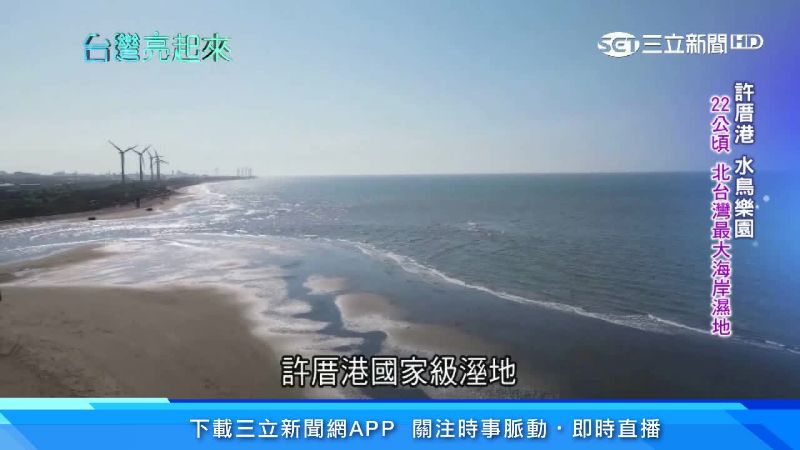 國家級鳥樂園！許厝港上千候鳥過境
