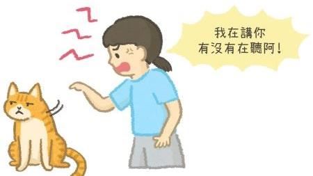 毛孩行為大揭密　貓咪撇頭的真相！