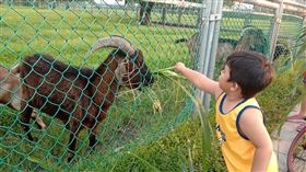 名家專用／草根影響力新視野（勿用）