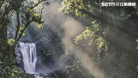美炸黃金山毛櫸、最美瀑布、百萬星空　8處國家級IG聖地（圖／林務局提供）