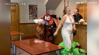 外國情侶變裝婚禮　裝扮一脫嚇壞新娘