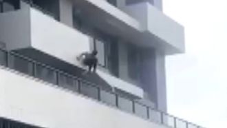 移工仿蜘蛛人爬5樓　警出動雲梯逮人