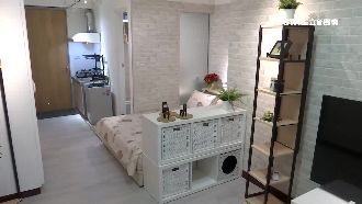 凶宅出租「徵貓奴」藏洋蔥　詢問度增